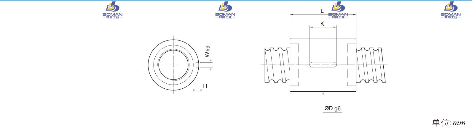 PMI RSIC5010-6 pmi双向丝杆
