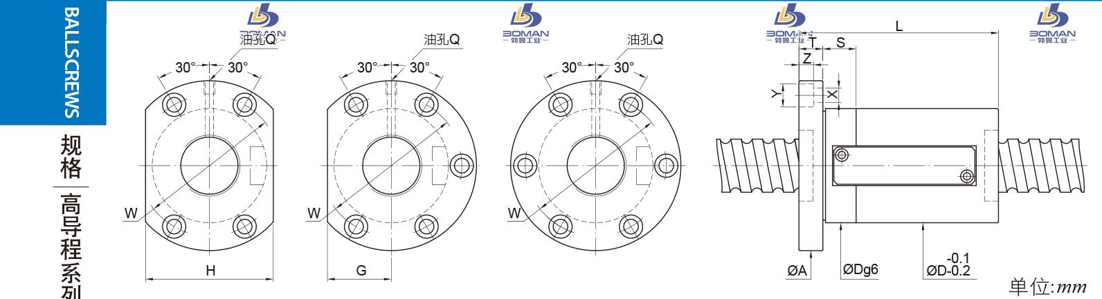 PMI FSWE8016-2.5 pmi滚珠丝杠定制